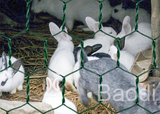 Alambre galvanizado malla de alambre revestida plástica del hierro del pollo como cercado de la malla