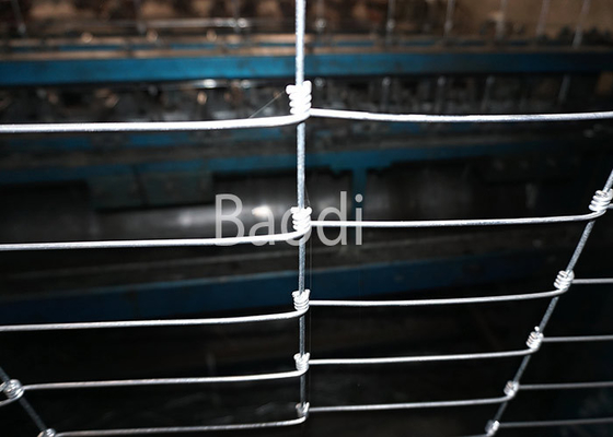 Cerca tejida nudo del campo de la junta de bisagra hecha de la cerca de alambre galvanizada del hierro