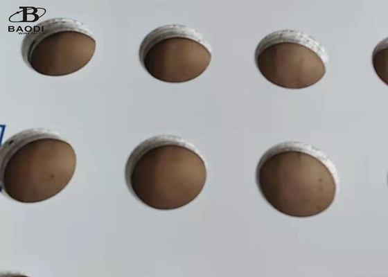 malla metálica perforada de perforación de la placa de la pantalla de filtro del 1m de los x 2m