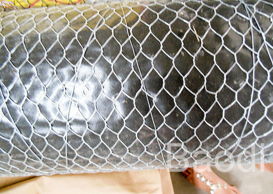 Tela inoxidable para la protección del conejo, cerca del alambre de pollo de la yarda de pollo del acero con poco carbono