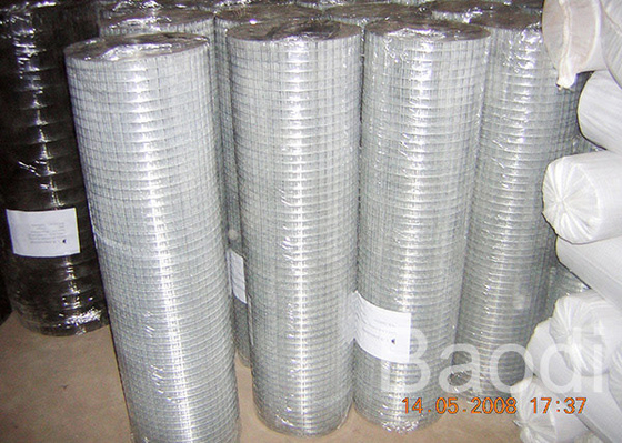 Malla de alambre soldada con autógena galvanizada eléctrica 3' longitud de rollo de la altura 100 del rollo '