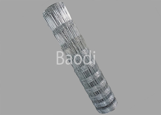 Rejilla rectangular tejida galvanizada sumergida caliente de la cerca del campo de la junta de bisagra