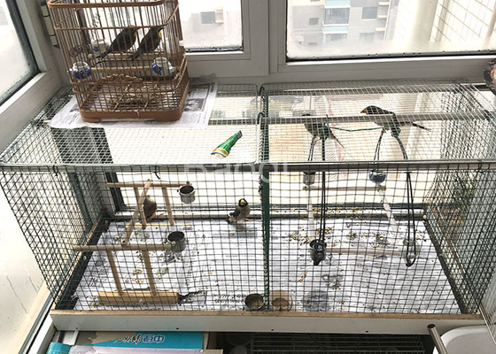 Color verde oscuro revestido polivinílico galvanizado 2 mallas de 19 indicadores del paño del hardware
