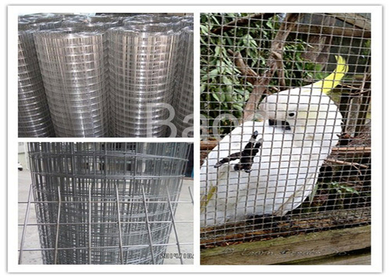 Hierro con poco carbono agrícola galvanizado alambre tamaño de malla del paño el 1/2”